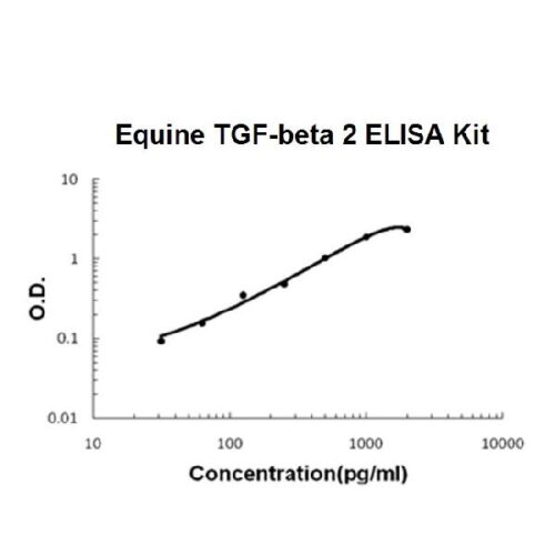 Horse equine TGF-Beta 2 PicoKine™ ELISA Kit