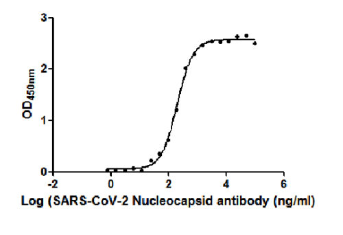 rabbit SARS-CoV-2-N Antibody