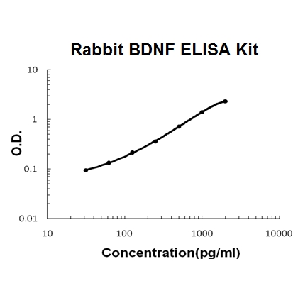 Rabbit BDNF PicoKine™ ELISA Kit